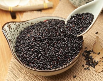 �ѷ��Ժ�֥������� ��ô�Ժ�֥�������ѷ�