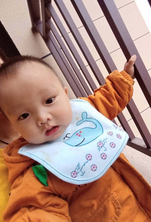 8个月男宝宝理发头型图片 男婴儿适合的短头发造型