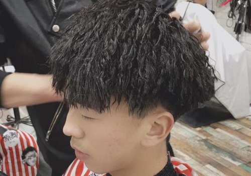 ͷ����������Ģ��ͷ���ȫ�̾� ��������ʱ��ȫͷ��Ģ��ͷ�̷����